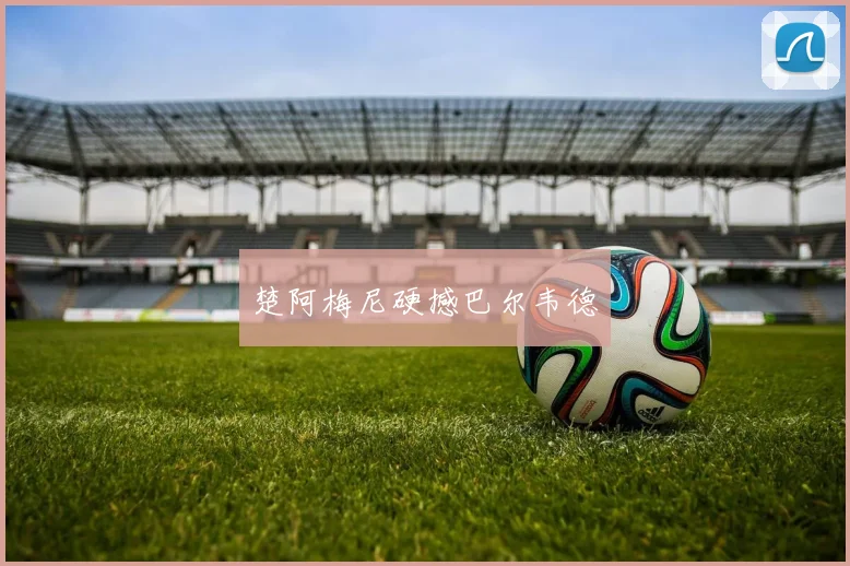 楚阿梅尼硬撼巴尔韦德
