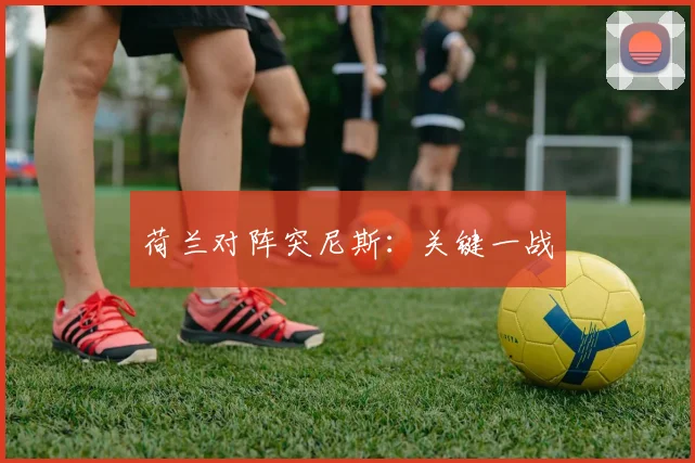荷兰对阵突尼斯：关键一战