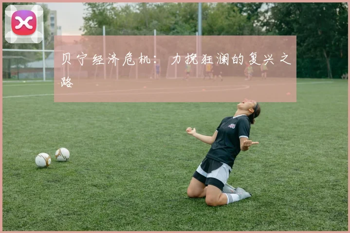 贝宁经济危机:力挽狂澜的复兴之路