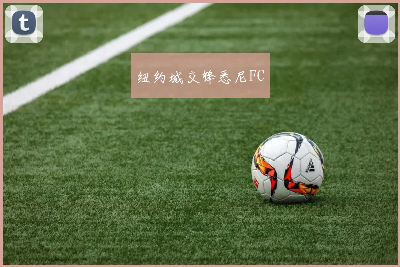 纽约城交锋悉尼FC