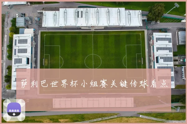 萨利巴世界杯小组赛关键传球看点