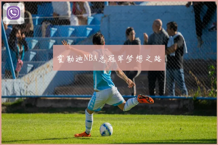 霍勒迪NBA总冠军梦想之路