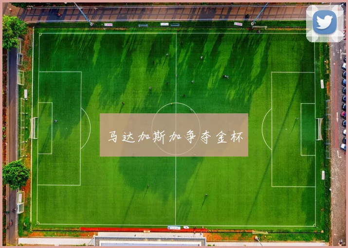 马达加斯加争夺金杯