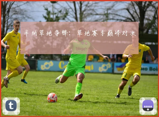 辛纳草地争锋：草地赛季巅峰对决