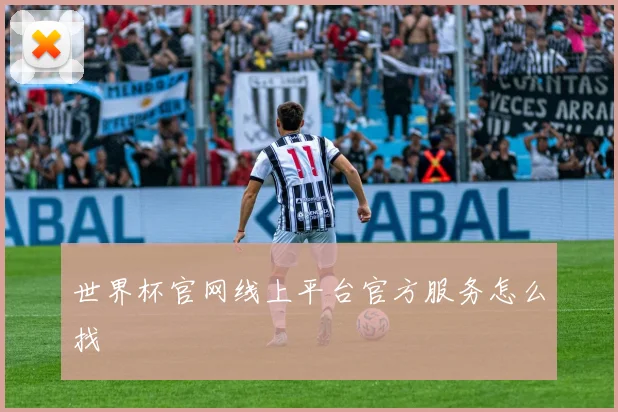 世界杯官网线上平台官方服务怎么找